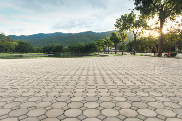 Best Concrete Paver Driveway  in North Charleston, SC